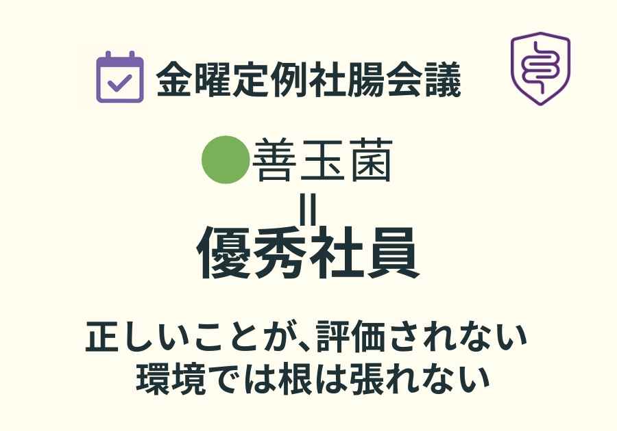 📅金曜定例社腸会議｜善玉菌が定着しない会社